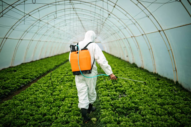Best Pest Control Near Me  in Chatmoss, VA