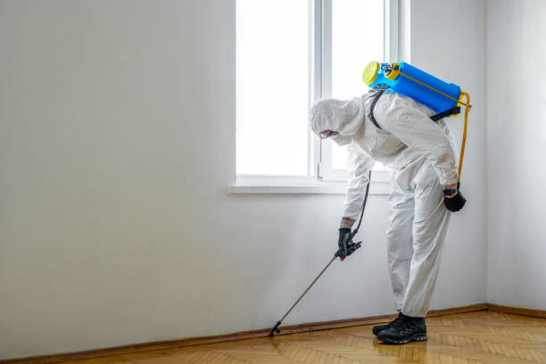Best Residential Pest Control  in Chatmoss, VA