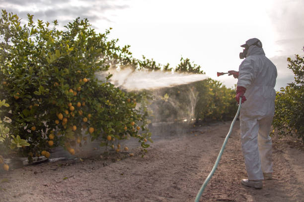 Best Pest Removal Services  in Chatmoss, VA
