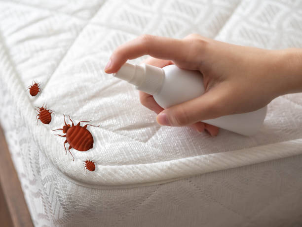 Best Ant Control Services  in Chatmoss, VA