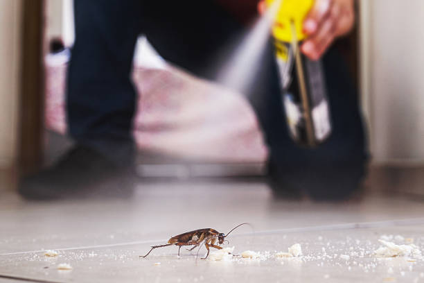 Chatmoss, VA Pest Control Company